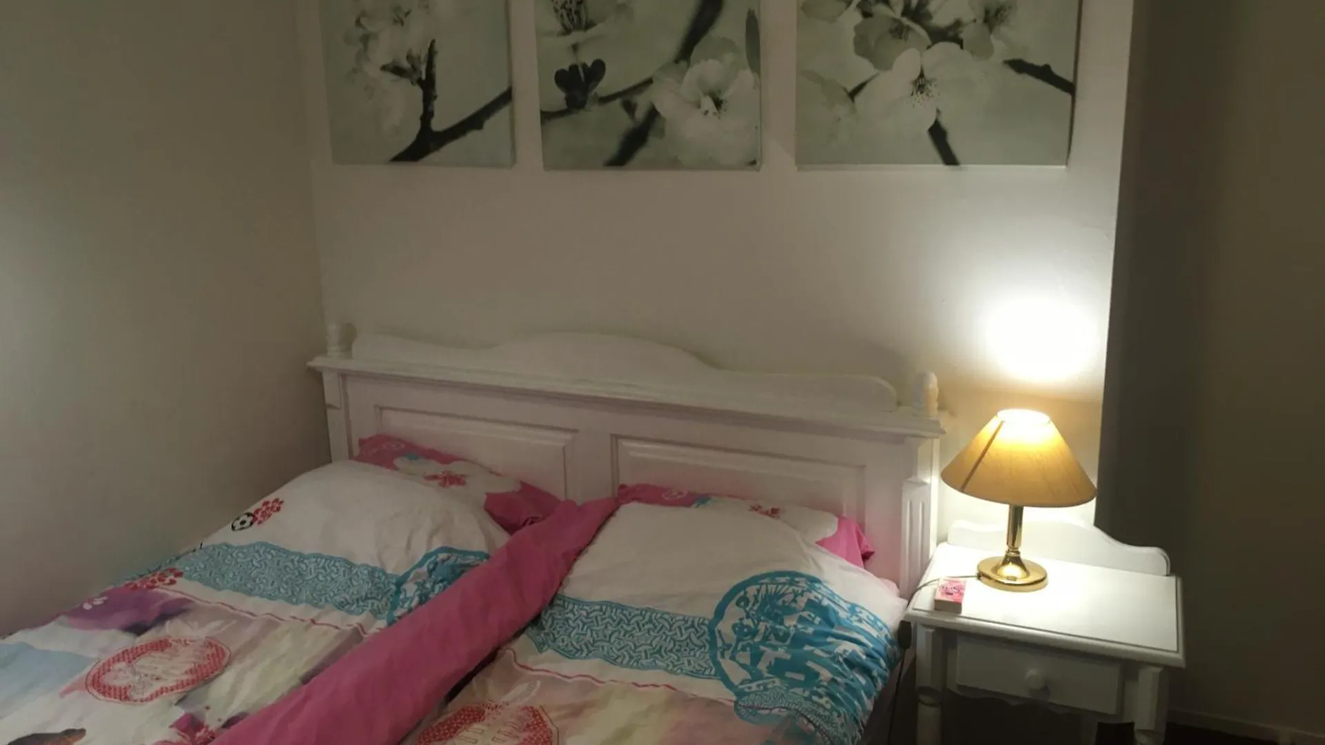 Bed & Breakfast Wim'S Place Schiphol Amsterdam Airport Hoofddorp