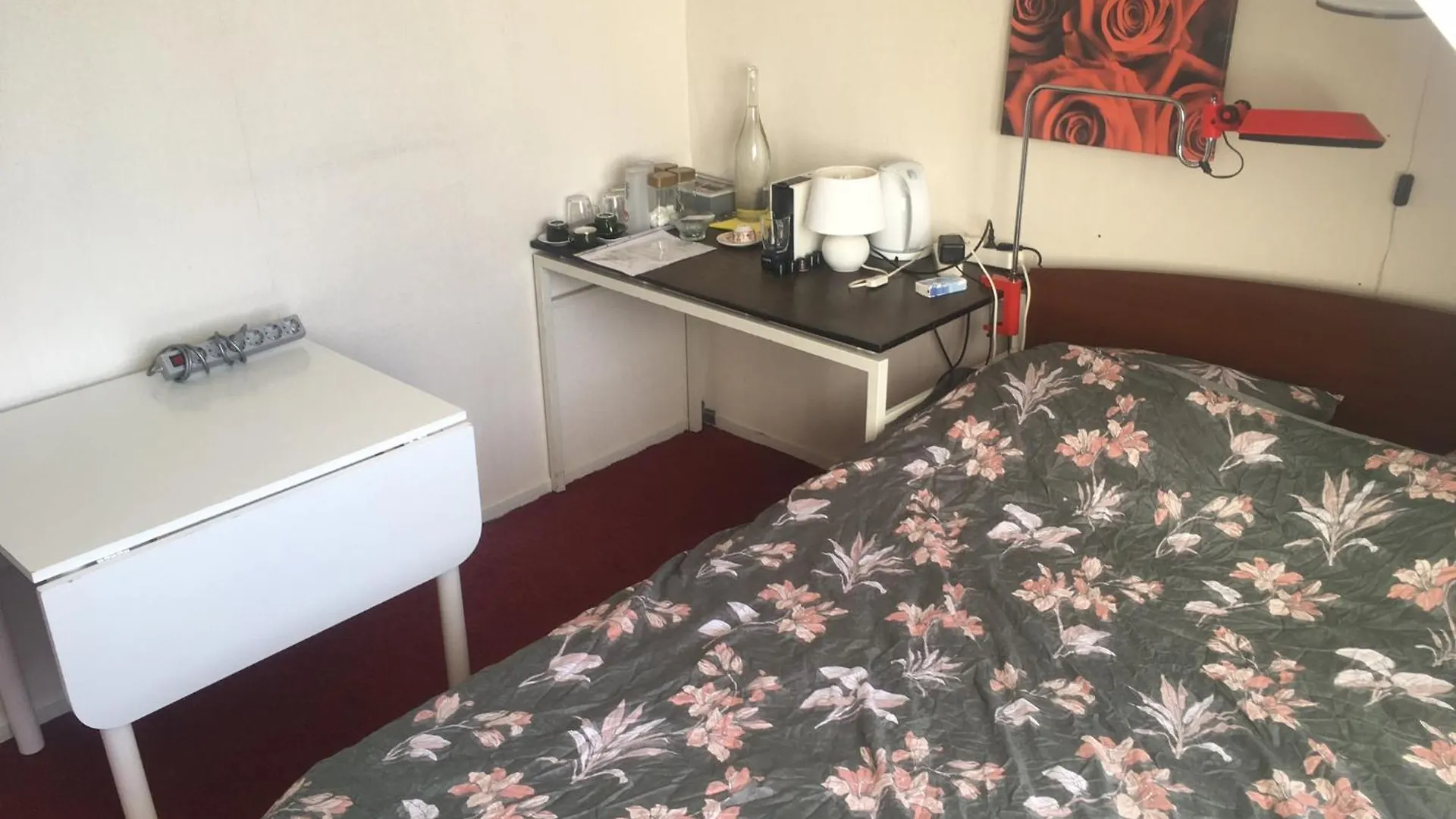 Bed & Breakfast Wim'S Place Schiphol Amsterdam Airport Hoofddorp